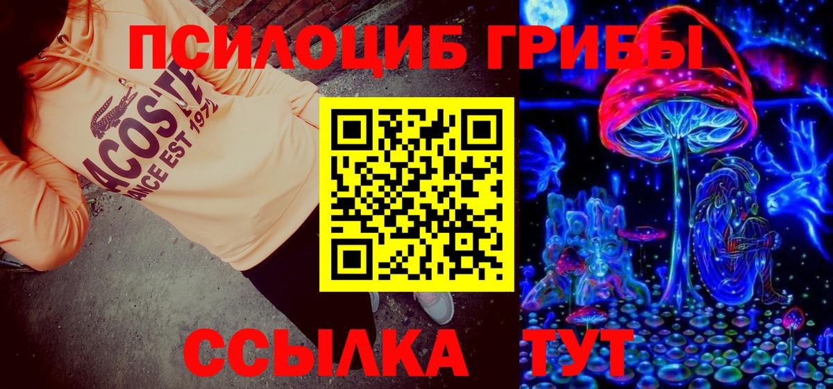Малоярославец  Галлюциногенные грибы ЛСД  Вход с VPN 