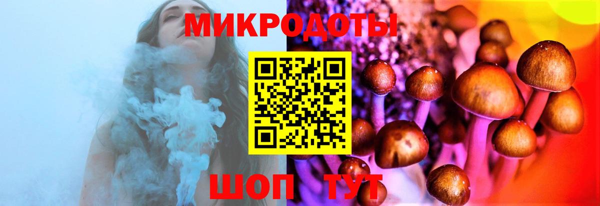 Псилоцибиновые грибы мицелий Малоярославец